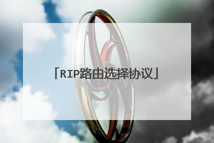 RIP路由选择协议