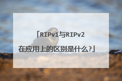 RIPv1与RIPv2在应用上的区别是什么?