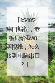 RS485串口编程,老板只给我AB两根线,怎么接到电脑串口?