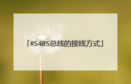 RS485总线的接线方式