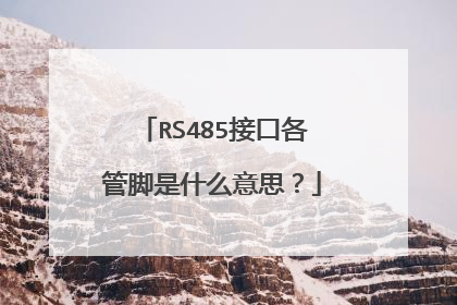 RS485接口各管脚是什么意思？