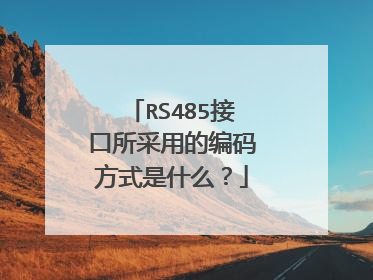 RS485接口所采用的编码方式是什么？