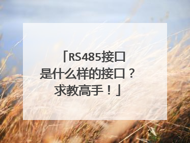 RS485接口是什么样的接口？求教高手！