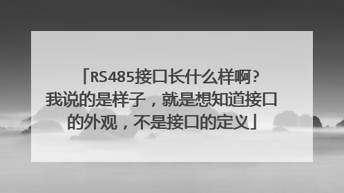 RS485接口长什么样啊?我说的是样子，就是想知道接口的外观，不是接口的定义