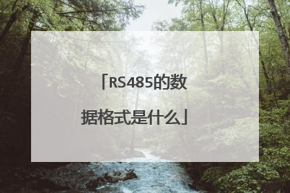 RS485的数据格式是什么