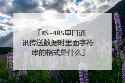 RS-485串口通讯传送数据时里面字符串的格式是什么