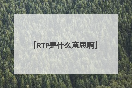 RTP是什么意思啊