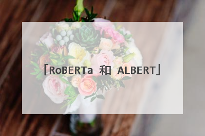 RoBERTa 和 ALBERT