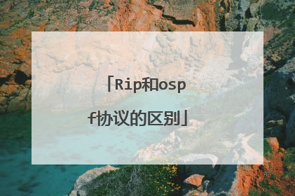Rip和ospf协议的区别