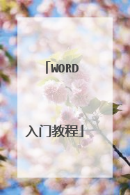 WORD入门教程