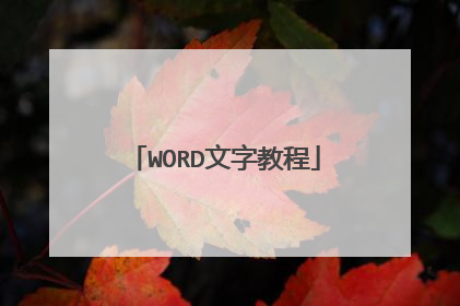 WORD文字教程