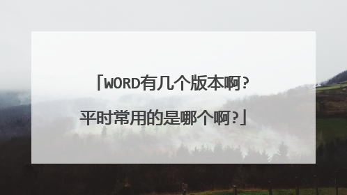 WORD有几个版本啊?平时常用的是哪个啊?
