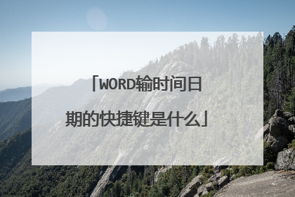 WORD输时间日期的快捷键是什么