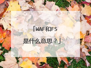 WAF和F5是什么意思?