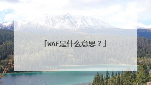 WAF是什么意思?