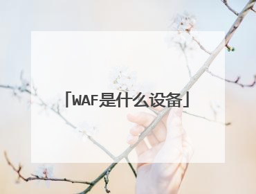 WAF是什么设备