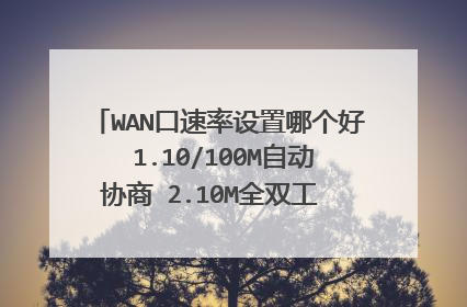 WAN口速率设置哪个好 1.10/100M自动协商 2.10M全双工 3.10M半双工?