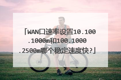 WAN口速率设置10.100.1000m和100.1000.2500m哪个稳定速度快?
