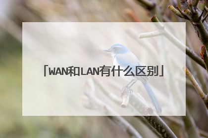 WAN和LAN有什么区别