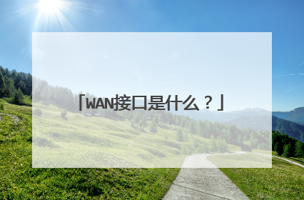 WAN接口是什么?