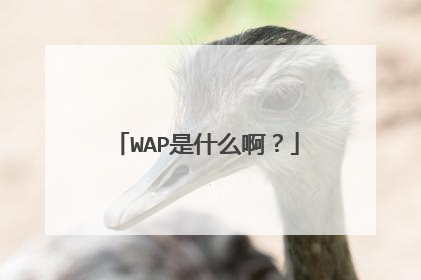 WAP是什么啊？