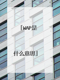 WAP是什么意思
