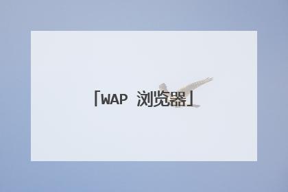WAP 浏览器