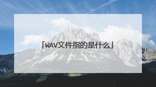 WAV文件指的是什么