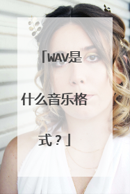 WAV是什么音乐格式?