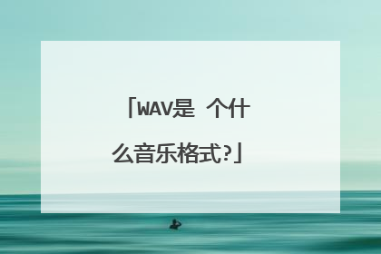 WAV是 个什么音乐格式?