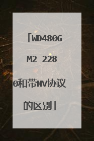 WD480G M2 2280和带NV协议的区别