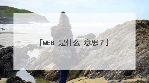 WEB 是什么 意思?