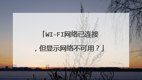 WI-FI网络已连接，但显示网络不可用？