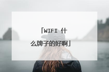 WIFI 什么牌子的好啊