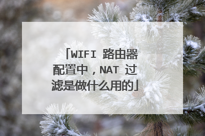 WIFI 路由器配置中,NAT 过滤是做什么用的