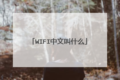 WIFI中文叫什么