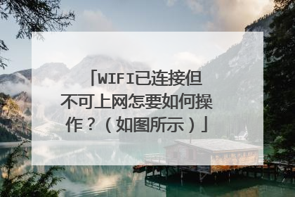 WIFI已连接但不可上网怎要如何操作？（如图所示）