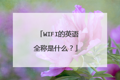 WIFI的英语全称是什么?