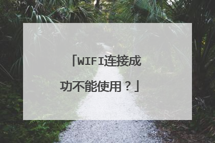 WIFI连接成功不能使用？