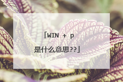 WIN + p 是什么意思??