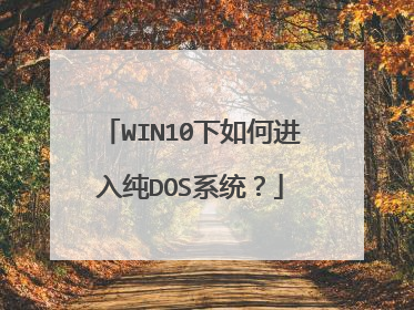 WIN10下如何进入纯DOS系统?