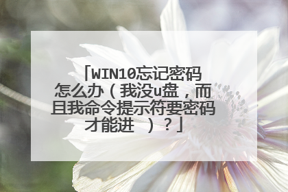 WIN10忘记密码怎么办(我没u盘,而且我命令提示符要密码才能进 )?