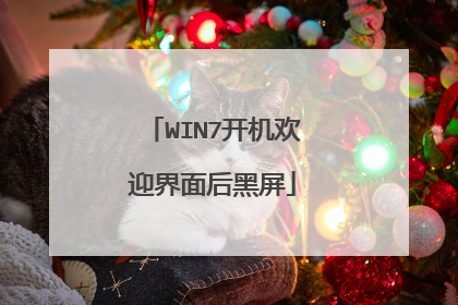 WIN7开机欢迎界面后黑屏