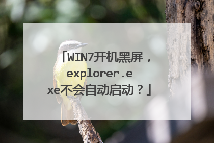 WIN7开机黑屏,explorer.exe不会自动启动?