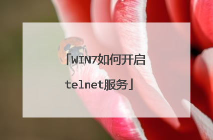 WIN7如何开启telnet服务