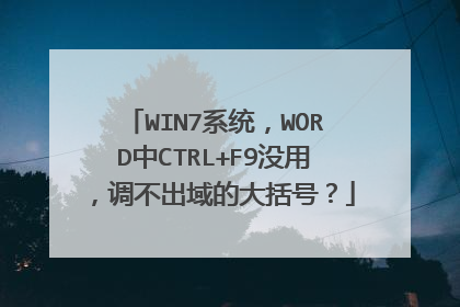 WIN7系统,WORD中CTRL+F9没用,调不出域的大括号?