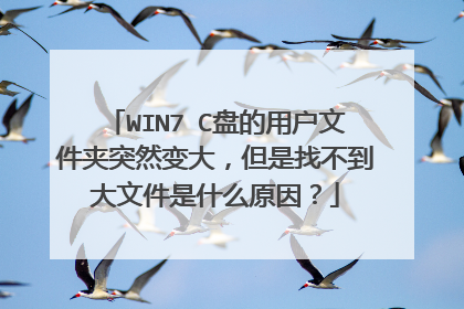 WIN7 C盘的用户文件夹突然变大,但是找不到大文件是什么原因?