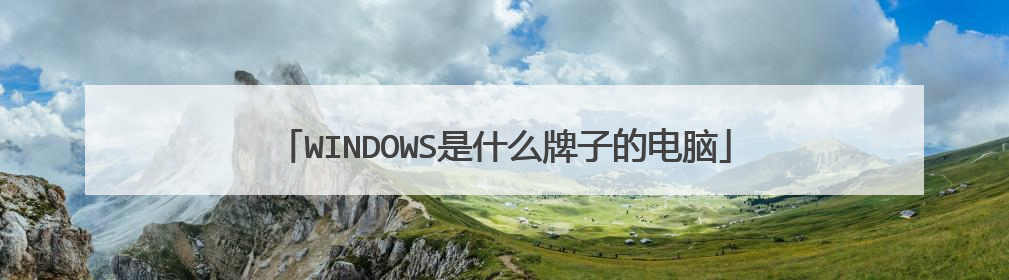 WINDOWS是什么牌子的电脑