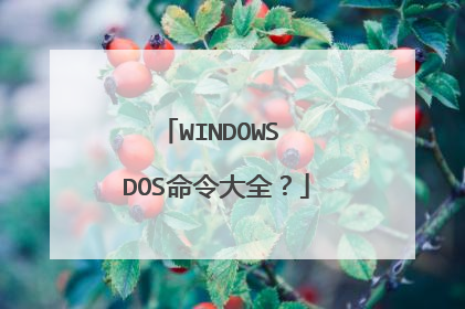 WINDOWS DOS命令大全？