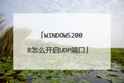 WINDOWS2008怎么开启UDP端口